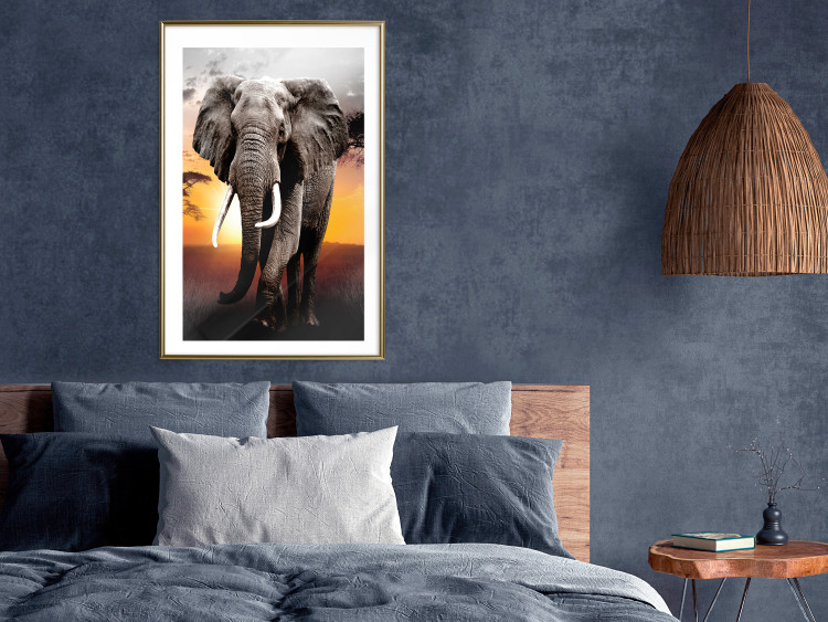 Wall Poster Warm Savannah - adult elephant on savannah with sunset backdrop 123679 additionalImage 13