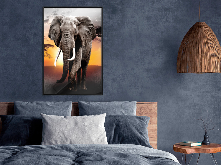 Wall Poster Warm Savannah - adult elephant on savannah with sunset backdrop 123679 additionalImage 2