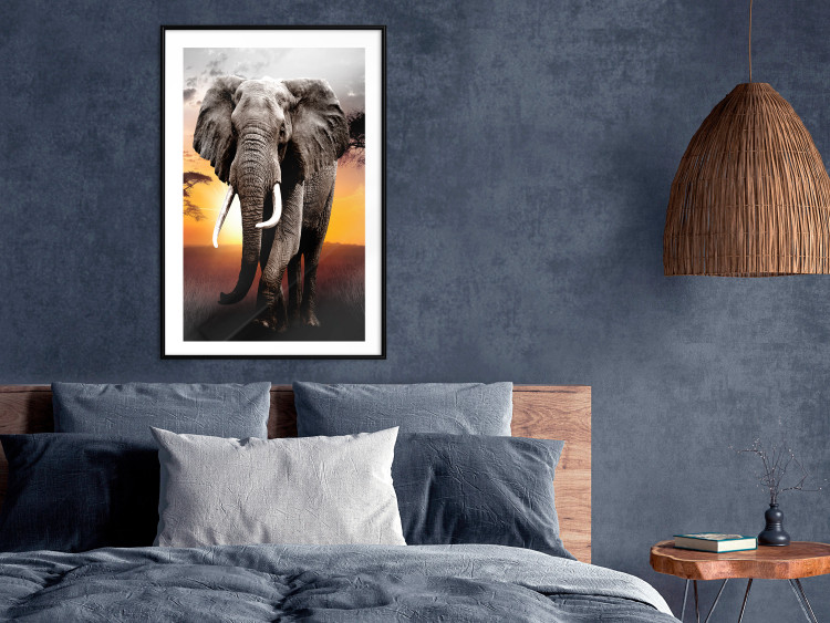 Wall Poster Warm Savannah - adult elephant on savannah with sunset backdrop 123679 additionalImage 11