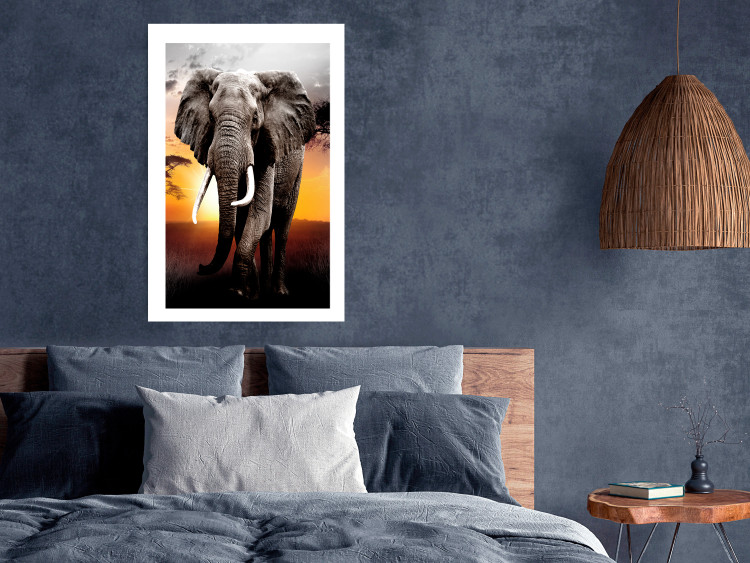 Wall Poster Warm Savannah - adult elephant on savannah with sunset backdrop 123679 additionalImage 3