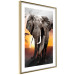 Wall Poster Warm Savannah - adult elephant on savannah with sunset backdrop 123679 additionalThumb 5