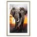 Wall Poster Warm Savannah - adult elephant on savannah with sunset backdrop 123679 additionalThumb 14