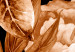 Poster Lilies and Peonies - plant flowers and leaves in sepia motif on black background 123879 additionalThumb 8