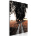 Canvas Art Print Countryside path - grain fields, trees and poplars summer landscape 124379 additionalThumb 2