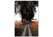 Canvas Art Print Countryside path - grain fields, trees and poplars summer landscape 124379