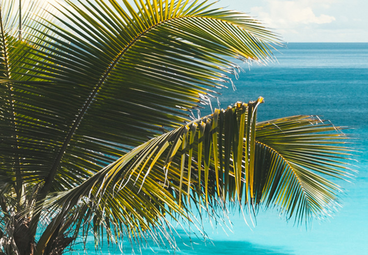 Large canvas print Tropical Vacation II [Large Format] 125879 additionalImage 4