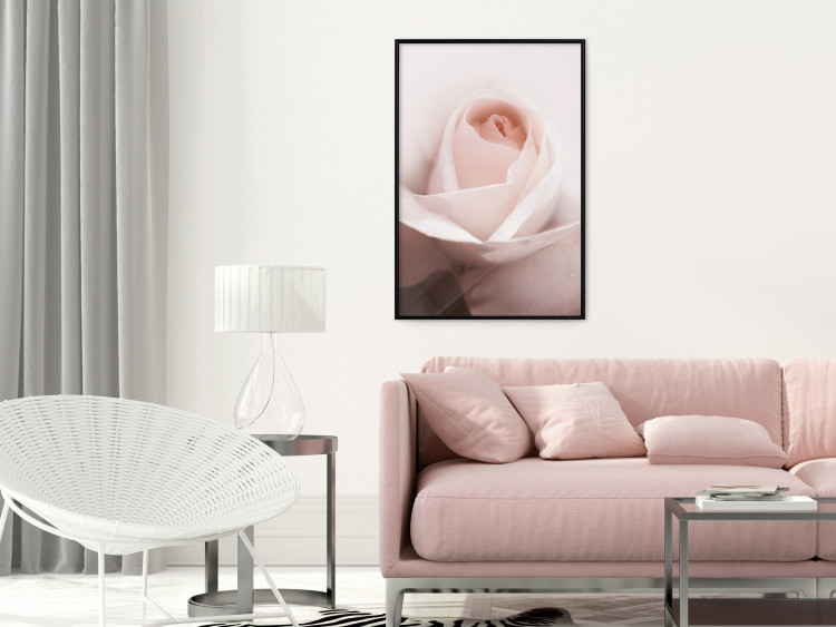 Poster Level of Feelings - spring rose flower with subtly pink petals 126679 additionalImage 14