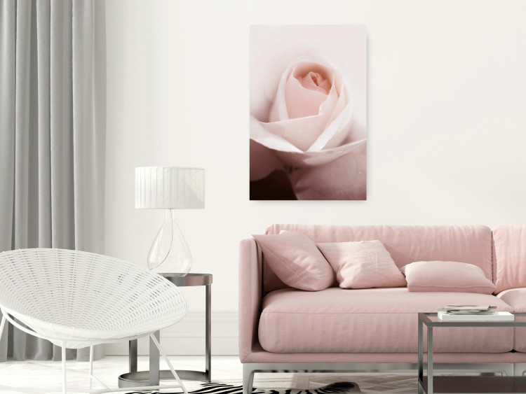 Poster Level of Feelings - spring rose flower with subtly pink petals 126679 additionalImage 7