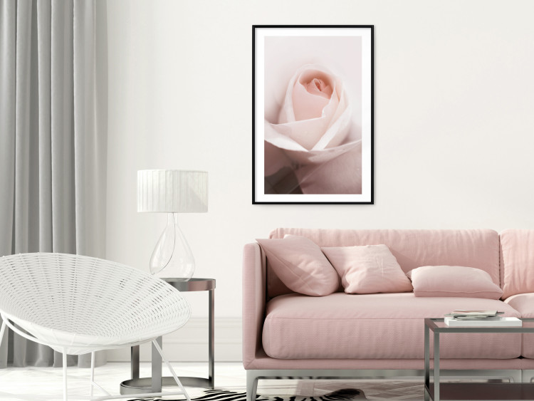 Poster Level of Feelings - spring rose flower with subtly pink petals 126679 additionalImage 23