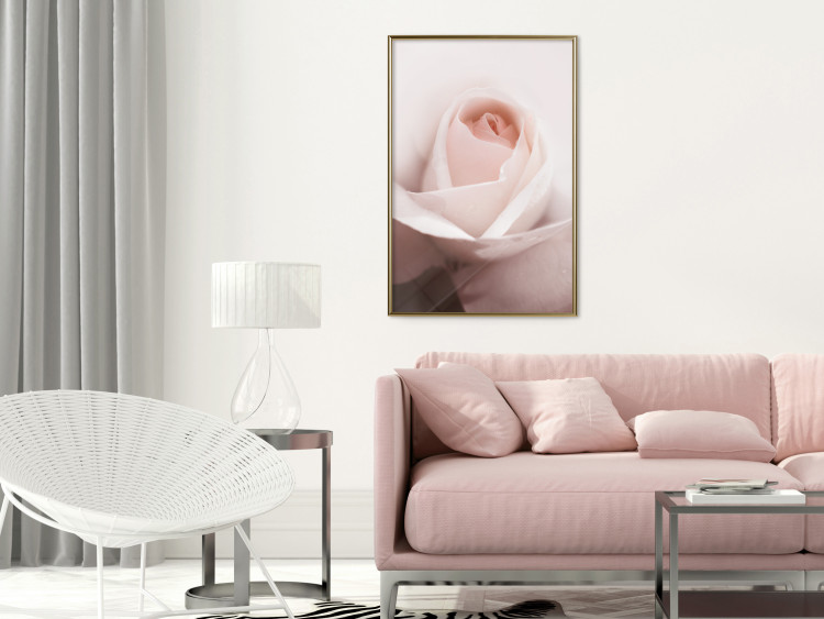 Poster Level of Feelings - spring rose flower with subtly pink petals 126679 additionalImage 5