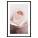 Poster Level of Feelings - spring rose flower with subtly pink petals 126679 additionalThumb 17