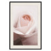 Poster Level of Feelings - spring rose flower with subtly pink petals 126679 additionalThumb 19