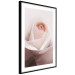 Poster Level of Feelings - spring rose flower with subtly pink petals 126679 additionalThumb 3