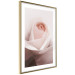 Poster Level of Feelings - spring rose flower with subtly pink petals 126679 additionalThumb 8