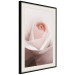 Poster Level of Feelings - spring rose flower with subtly pink petals 126679 additionalThumb 4