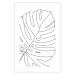 Poster Monstera Drawing - black and white line art of monstera leaf on light background 128079 additionalThumb 19