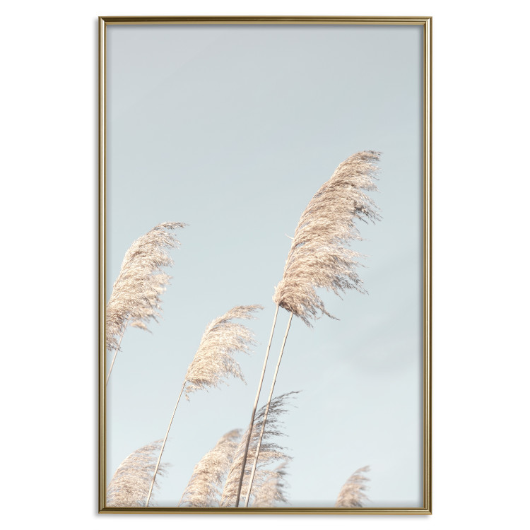 Wall Poster Feathery Transience - landscape of a sunny field from a frog's perspective 129479 additionalImage 17