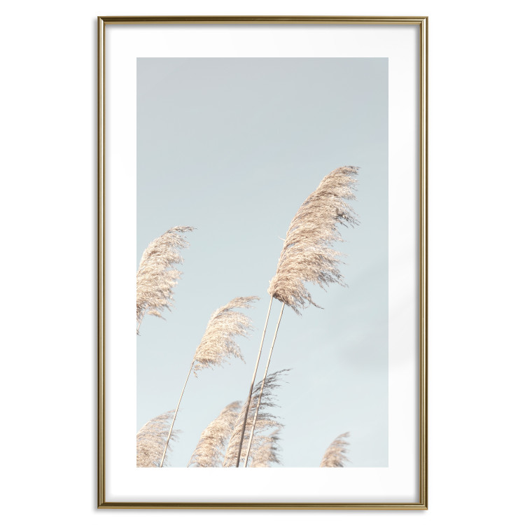 Wall Poster Feathery Transience - landscape of a sunny field from a frog's perspective 129479 additionalImage 16