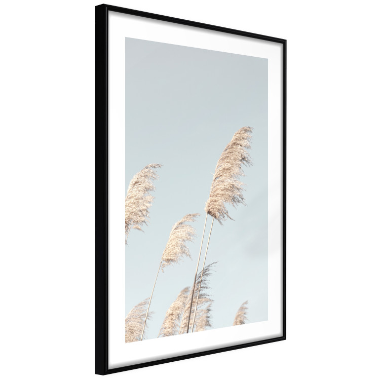 Wall Poster Feathery Transience - landscape of a sunny field from a frog's perspective 129479 additionalImage 12