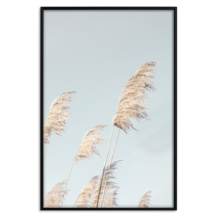 Wall Poster Feathery Transience - landscape of a sunny field from a frog's perspective 129479 additionalImage 16