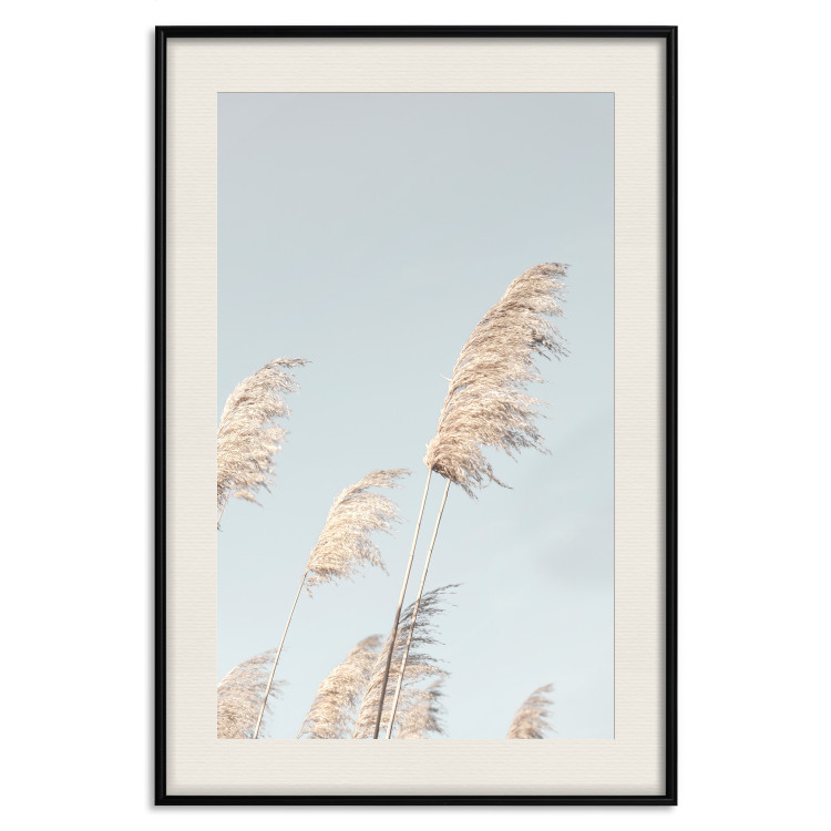 Wall Poster Feathery Transience - landscape of a sunny field from a frog's perspective 129479 additionalImage 19