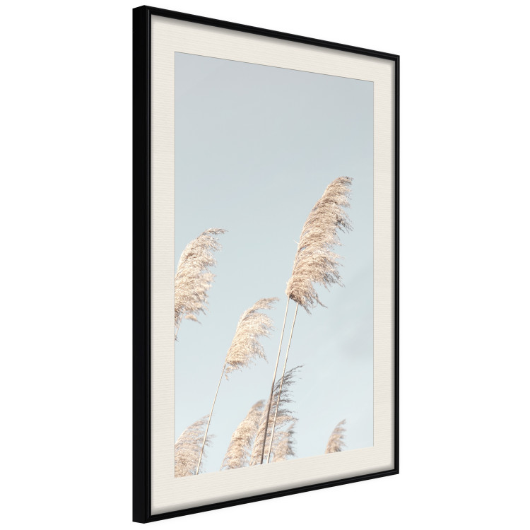 Wall Poster Feathery Transience - landscape of a sunny field from a frog's perspective 129479 additionalImage 14