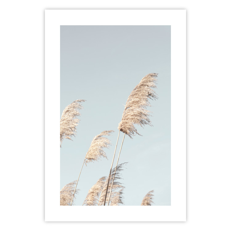 Wall Poster Feathery Transience - landscape of a sunny field from a frog's perspective 129479 additionalImage 25