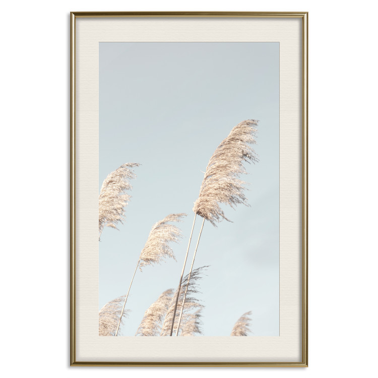 Wall Poster Feathery Transience - landscape of a sunny field from a frog's perspective 129479 additionalImage 20