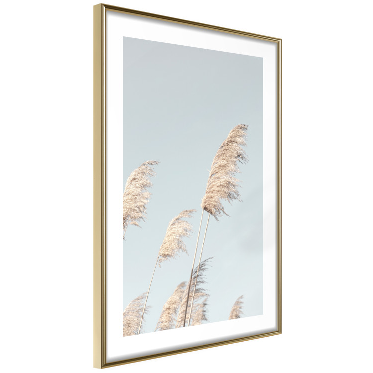 Wall Poster Feathery Transience - landscape of a sunny field from a frog's perspective 129479 additionalImage 11