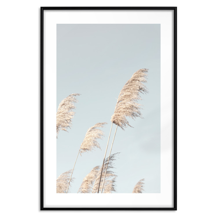 Wall Poster Feathery Transience - landscape of a sunny field from a frog's perspective 129479 additionalImage 15