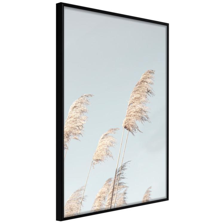Wall Poster Feathery Transience - landscape of a sunny field from a frog's perspective 129479 additionalImage 2