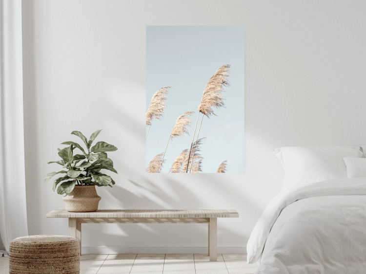 Wall Poster Feathery Transience - landscape of a sunny field from a frog's perspective 129479 additionalImage 8