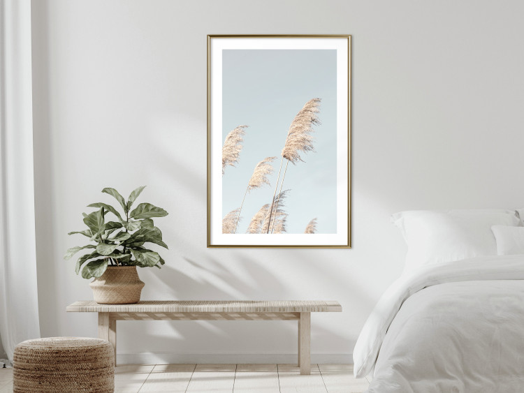 Wall Poster Feathery Transience - landscape of a sunny field from a frog's perspective 129479 additionalImage 13