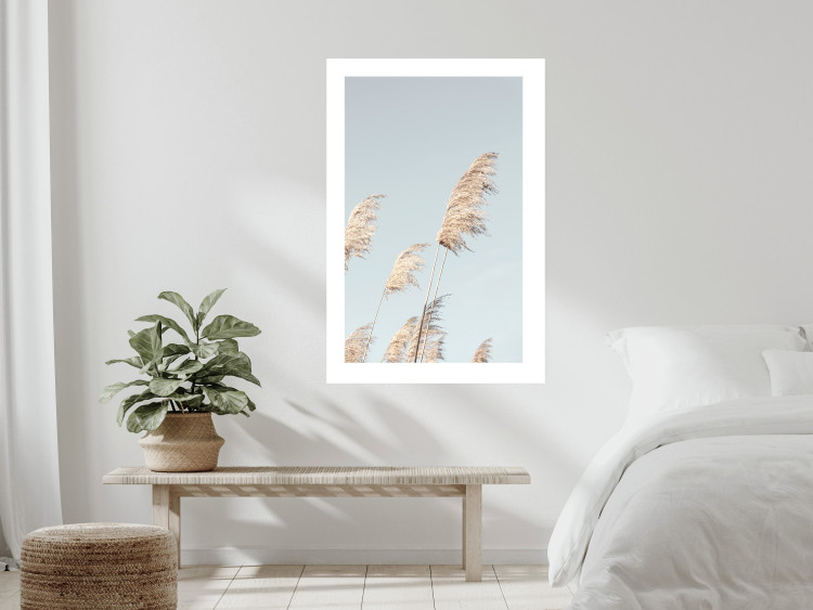 Wall Poster Feathery Transience - landscape of a sunny field from a frog's perspective 129479 additionalImage 7