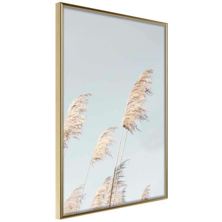 Wall Poster Feathery Transience - landscape of a sunny field from a frog's perspective 129479 additionalImage 3