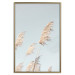 Wall Poster Feathery Transience - landscape of a sunny field from a frog's perspective 129479 additionalThumb 17