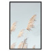 Wall Poster Feathery Transience - landscape of a sunny field from a frog's perspective 129479 additionalThumb 18