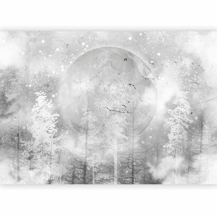 Wall Mural Abstract frosty grey composition - moon among trees with patterns 138379 additionalImage 5