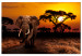 Canvas Art Print African Trek (1-piece) Wide - first variant - elephant 143679