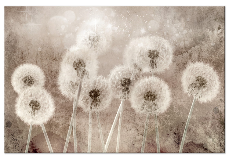 Canvas Art Print Fluffy Dandelions (1-piece) - flowers in shades of brown 145279