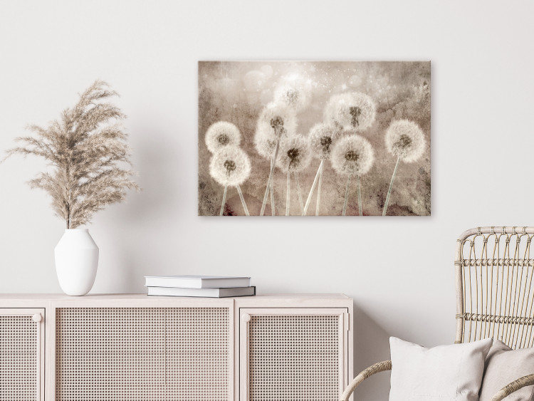Canvas Art Print Fluffy Dandelions (1-piece) - flowers in shades of brown 145279 additionalImage 3