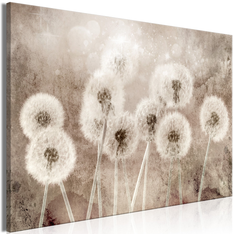 Canvas Art Print Fluffy Dandelions (1-piece) - flowers in shades of brown 145279 additionalImage 2