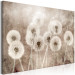 Canvas Art Print Fluffy Dandelions (1-piece) - flowers in shades of brown 145279 additionalThumb 2
