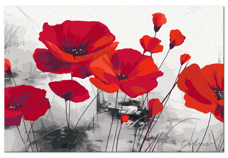 Paint by number Red Poppies - Field of Ripe Flowers on a Gray Background 148879 additionalImage 3