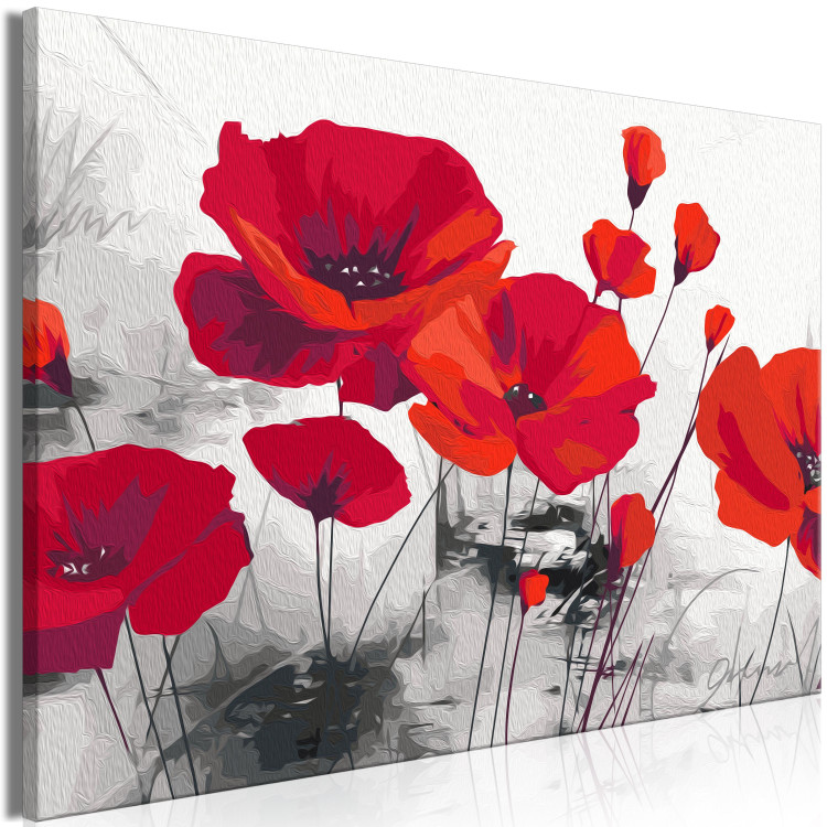 Paint by number Red Poppies - Field of Ripe Flowers on a Gray Background 148879 additionalImage 5