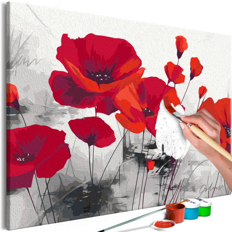 Paint by number Red Poppies - Field of Ripe Flowers on a Gray Background 148879 additionalImage 7