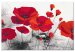 Paint by number Red Poppies - Field of Ripe Flowers on a Gray Background 148879 additionalThumb 3
