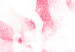Canvas Art Print Pink Unicorn Power - Rainbow Composition With an Animal 151779 additionalThumb 5