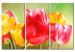 Canvas Art Print Tulips in Bloom Again (3-piece) - Colourful flowers on a green background 48679