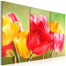 Canvas Art Print Tulips in Bloom Again (3-piece) - Colourful flowers on a green background 48679 additionalThumb 2